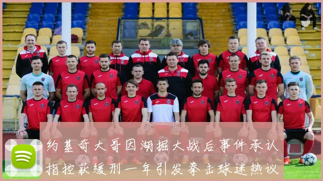 约基奇大哥因湖掘大战后事件承认指控获缓刑一年引发拳击球迷热议