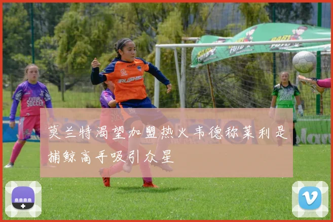 莫兰特渴望加盟热火韦德称莱利是捕鲸高手吸引众星