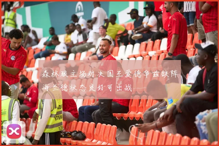 森林狼主场对决国王爱德华兹缺阵海兰德状态良好可出战