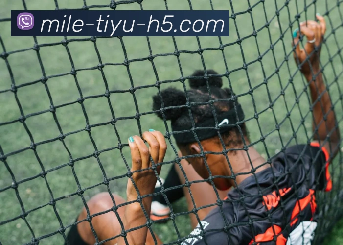 米乐体育平台生态图